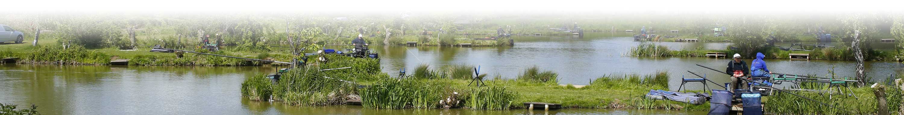 Laurels Lake at Lindholme Lakes Country Park